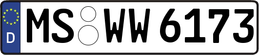 MS-WW6173