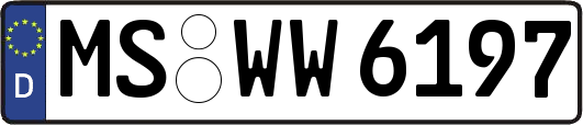 MS-WW6197