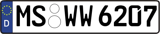 MS-WW6207