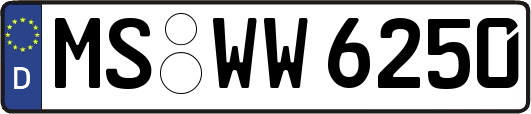 MS-WW6250