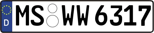 MS-WW6317