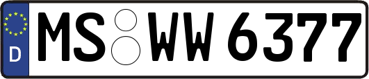 MS-WW6377