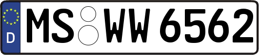 MS-WW6562