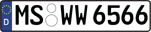 MS-WW6566