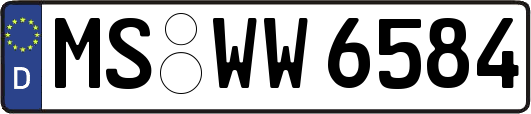 MS-WW6584