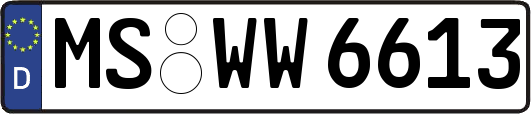 MS-WW6613