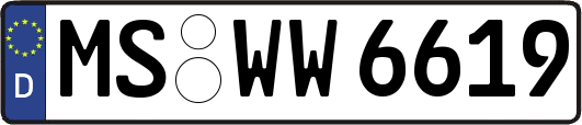 MS-WW6619