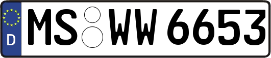 MS-WW6653