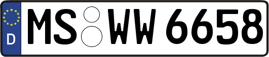 MS-WW6658