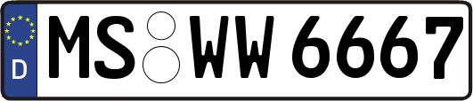 MS-WW6667