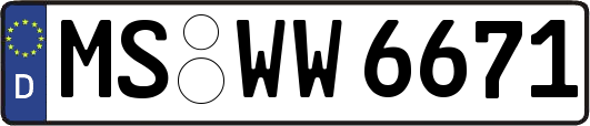 MS-WW6671