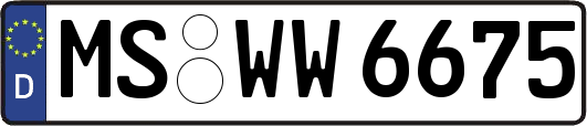 MS-WW6675