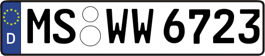 MS-WW6723