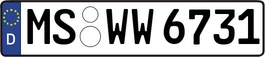 MS-WW6731