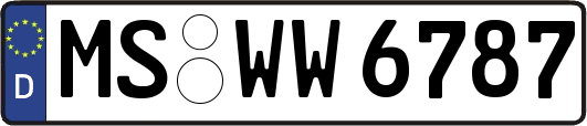 MS-WW6787