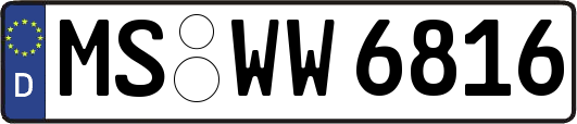 MS-WW6816