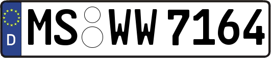 MS-WW7164