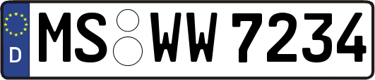 MS-WW7234