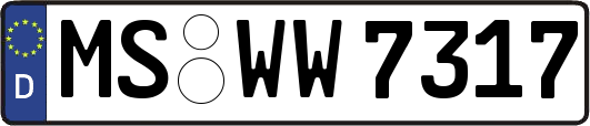 MS-WW7317