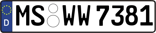 MS-WW7381