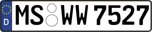 MS-WW7527