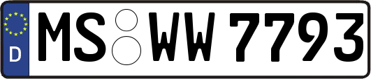 MS-WW7793