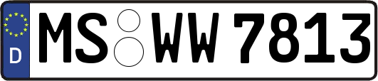 MS-WW7813