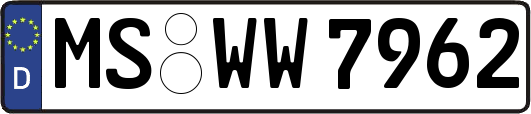 MS-WW7962