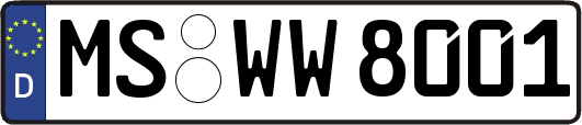 MS-WW8001