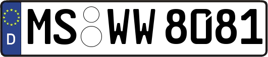 MS-WW8081