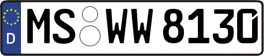 MS-WW8130