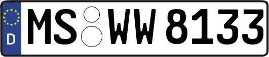 MS-WW8133