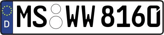 MS-WW8160