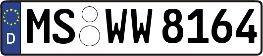 MS-WW8164