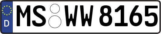 MS-WW8165