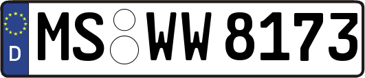 MS-WW8173