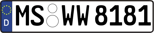 MS-WW8181
