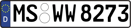 MS-WW8273