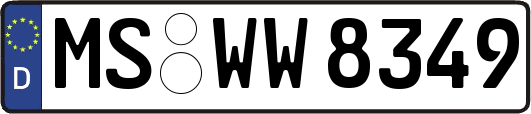 MS-WW8349