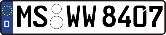 MS-WW8407