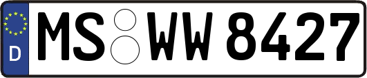 MS-WW8427