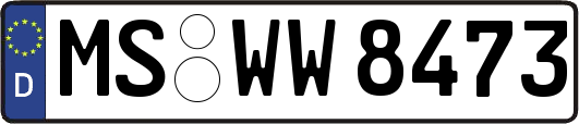MS-WW8473
