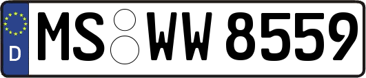 MS-WW8559