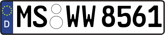 MS-WW8561