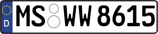 MS-WW8615