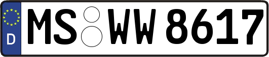 MS-WW8617