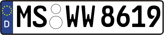 MS-WW8619