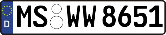 MS-WW8651