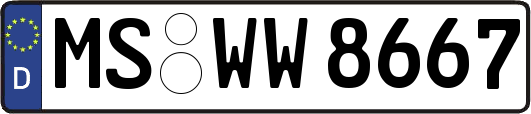 MS-WW8667