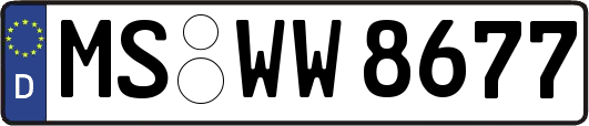 MS-WW8677